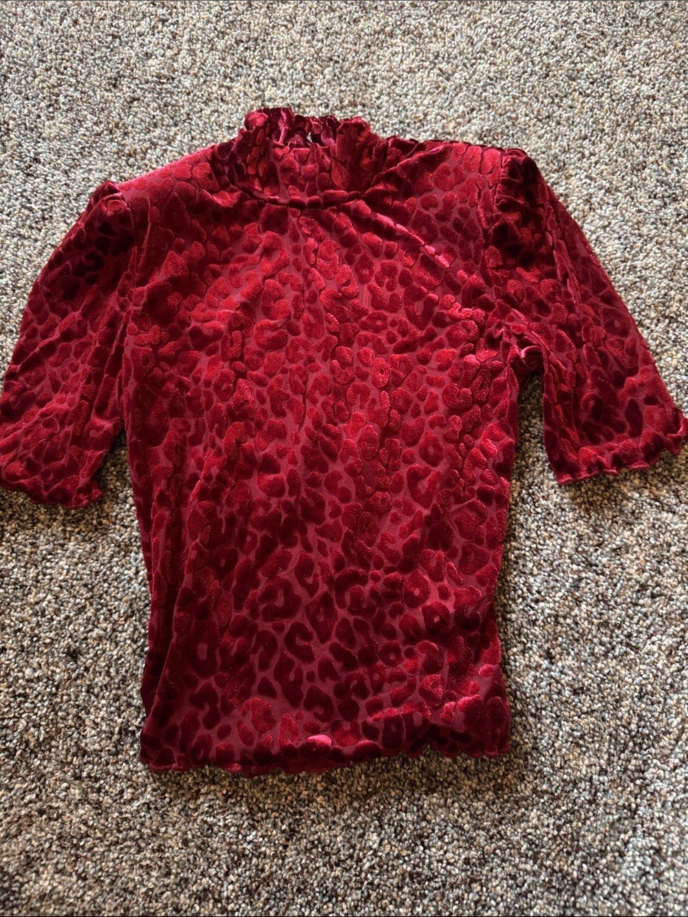 Forever 21 Red Velvet Burnout Mock Neck Short Sleeve crop Top